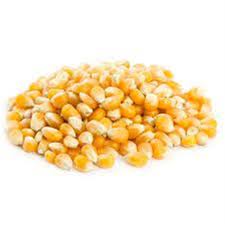 Farmnaivas Popcorn 1Kg