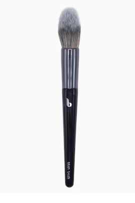 BIW BIW BLUSH BRUSH
